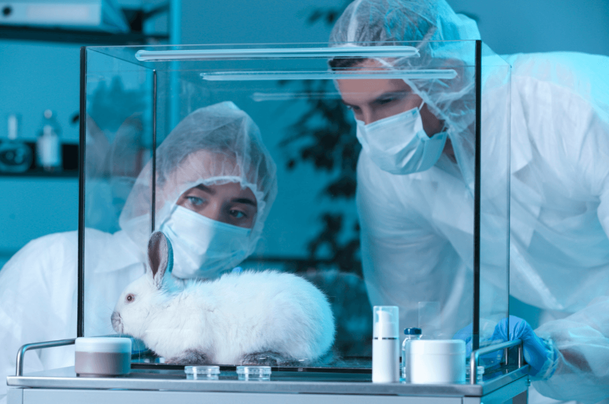 IND Strategy & Approval Readiness