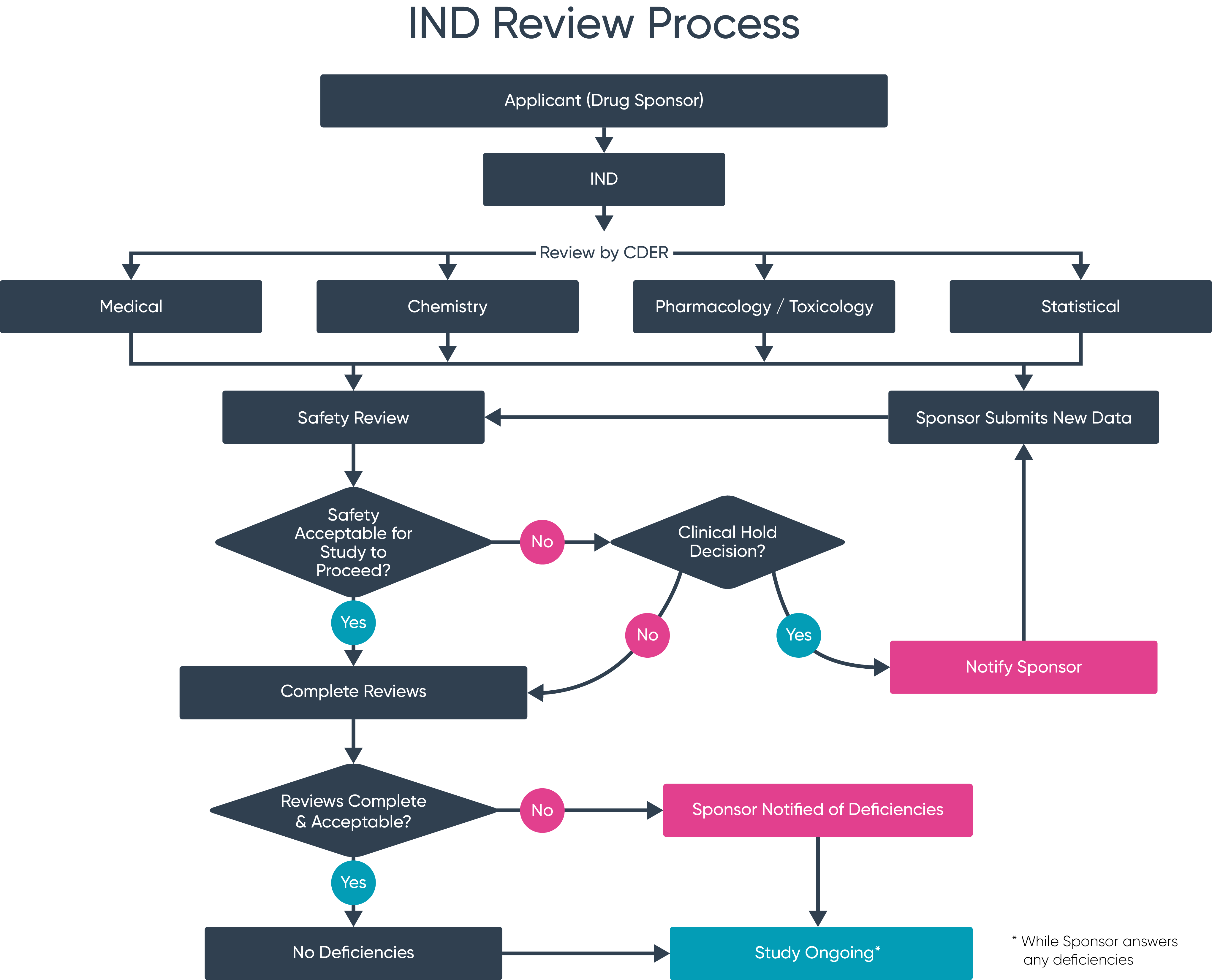 IND 전략 수립 및 승인 준비